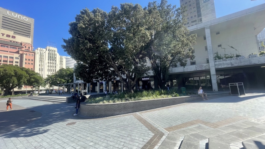 To Let commercial Property for Rent in Cape Town City Centre Western Cape